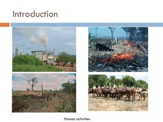 Introduction
Human activities
 