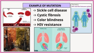 EXAMPLE OF MUTATION
➩ Sickle cell disease
➩ Cystic fibrosis
➩ Color blindness
➩ HIV resistance
 