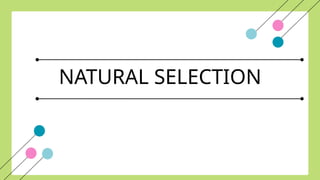 NATURAL SELECTION
 