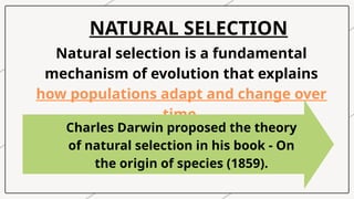 Natural selection is a fundamental
mechanism of evolution that explains
how populations adapt and change over
time.
NATURAL SELECTION
Charles Darwin proposed the theory
of natural selection in his book - On
the origin of species (1859).
 