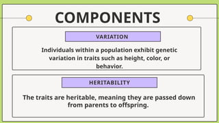 The traits are heritable, meaning they are passed down
from parents to offspring.
HERITABILITY
VARIATION
COMPONENTS
Individuals within a population exhibit genetic
variation in traits such as height, color, or
behavior.
 