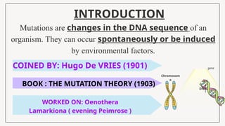 .
Chromosom
e
DNA
gene
INTRODUCTION
Mutations are changes in the DNA sequence of an
organism. They can occur spontaneously or be induced
by environmental factors.
COINED BY: Hugo De VRIES (1901)
BOOK : THE MUTATION THEORY (1903)
WORKED ON: Oenothera
Lamarkiona ( evening Peimrose )
 