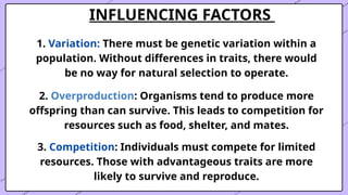 INFLUENCING FACTORS
1. Variation: There must be genetic variation within a
population. Without differences in traits, there would
be no way for natural selection to operate.
2. Overproduction: Organisms tend to produce more
offspring than can survive. This leads to competition for
resources such as food, shelter, and mates.
3. Competition: Individuals must compete for limited
resources. Those with advantageous traits are more
likely to survive and reproduce.
 