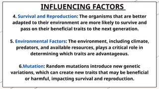 INFLUENCING FACTORS
4. Survival and Reproduction: The organisms that are better
adapted to their environment are more likely to survive and
pass on their beneficial traits to the next generation.
5. Environmental Factors: The environment, including climate,
predators, and available resources, plays a critical role in
determining which traits are advantageous.
6.Mutation: Random mutations introduce new genetic
variations, which can create new traits that may be beneficial
or harmful, impacting survival and reproduction.
 