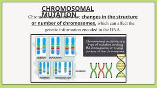 CHROMOSOMAL
MUTATION
Chromosomal mutations are changes in the structure
or number of chromosomes, which can affect the
genetic information encoded in the DNA.
 