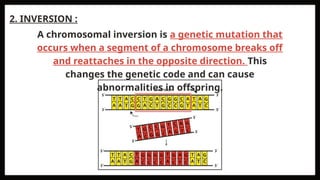 2. INVERSION :
A chromosomal inversion is a genetic mutation that
occurs when a segment of a chromosome breaks off
and reattaches in the opposite direction. This
changes the genetic code and can cause
abnormalities in offspring.
 