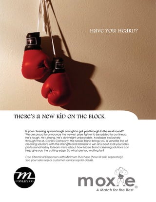 Moxie Brand Development