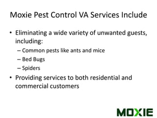 Moxie Pest Control | PPTX