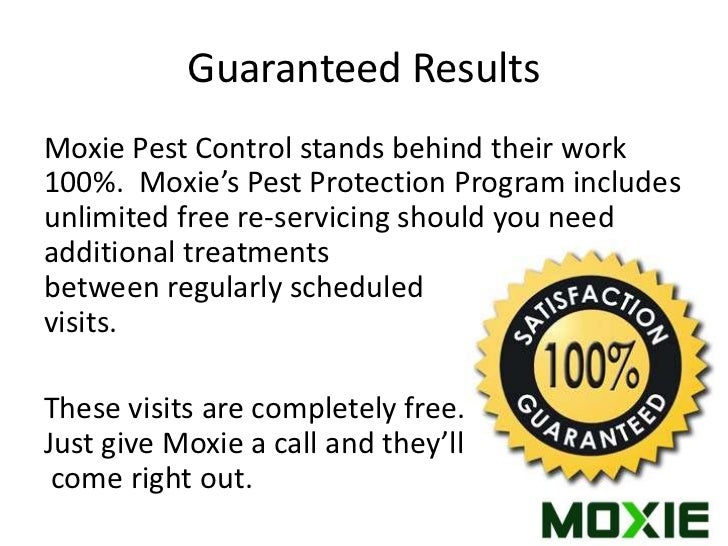 Moxie Pest Control