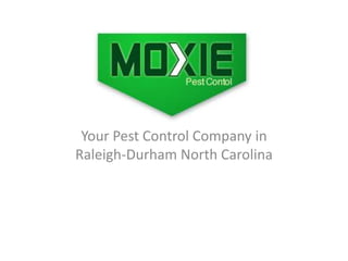 Your Pest Control Company in
Raleigh-Durham North Carolina
 
