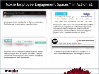 Expertise / Profiles