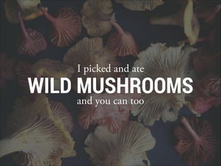 I picked and ate
WILD MUSHROOMS
and you can too
 