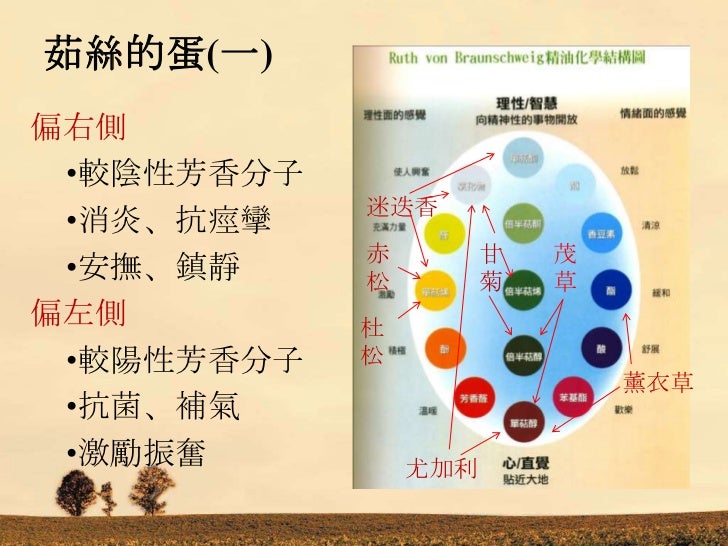 Moya精油與人體美麗對談4 Moya精油與人體美麗對談4