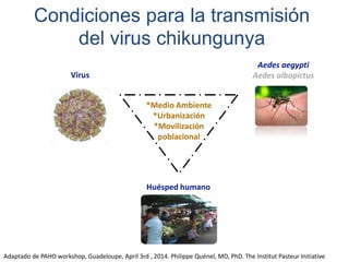 Condiciones para la transmisión 
del virus chikungunya 
*Medio Ambiente 
*Urbanización 
*Movilización 
poblacional 
Aedes aegypti 
Aedes albopictus 
Huésped humano 
Virus 
Adaptado de PAHO workshop, Guadeloupe, April 3rd , 2014. Philippe Quénel, MD, PhD. The Institut Pasteur Initiative 
 