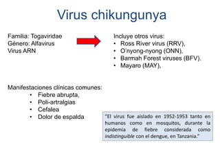 Virus chikungunya 
Familia: Togaviridae 
Género: Alfavirus 
Virus ARN 
Manifestaciones clínicas comunes: 
• Fiebre abrupta, 
• Poli-artralgias 
• Cefalea 
• Dolor de espalda 
Incluye otros virus: 
• Ross River virus (RRV), 
• O’nyong-nyong (ONN), 
• Barmah Forest viruses (BFV). 
• Mayaro (MAY), 
“El virus fue aislado en 1952-1953 tanto en 
humanos como en mosquitos, durante la 
epidemia de fiebre considerada como 
indistinguible con el dengue, en Tanzania.” 
 
