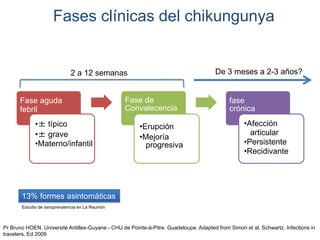 Fases clínicas del chikungunya 
Fase aguda 
febril 
•± típico 
•± grave 
•Materno/infantil 
Fase de 
Convalecencia 
•Erupción 
•Mejoría 
progresiva 
De 3 meses a 2-3 años? 
fase 
crónica 
•Afección 
articular 
•Persistente 
•Recidivante 
2 a 12 semanas 
13% formes asintomáticas 
Estudio de seroprevalencia en La Reunión 
Pr Bruno HOEN. Université Antilles-Guyane - CHU de Pointe-à-Pitre. Guadeloupe. Adapted from Simon et al, Schwartz, Infections in 
travelers, Ed 2009 
 