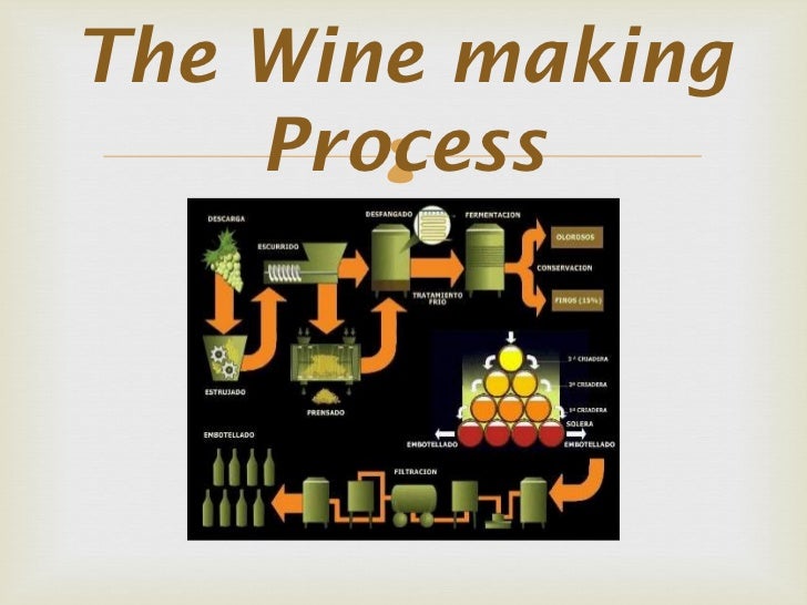 Moyano mónica the wine marking process