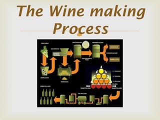 The Wine making
    Process
       
 