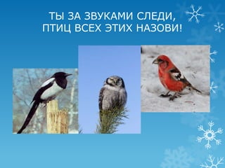 ТЫ ЗА ЗВУКАМИ СЛЕДИ,
ПТИЦ ВСЕХ ЭТИХ НАЗОВИ!
 