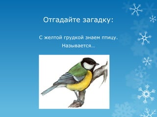 Отгадайте загадку:

С желтой грудкой знаем птицу.
        Называется…
 