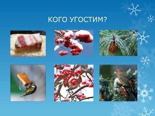 КОГО УГОСТИМ?
 