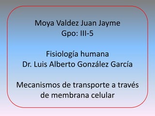 Moya Valdez Juan JaymeGpo: III-5Fisiología humanaDr. Luis Alberto González GarcíaMecanismos de transporte a través de membrana celular 