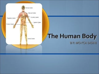 The Human BodyThe Human Body
BY: MOYCA DISINIBY: MOYCA DISINI
 