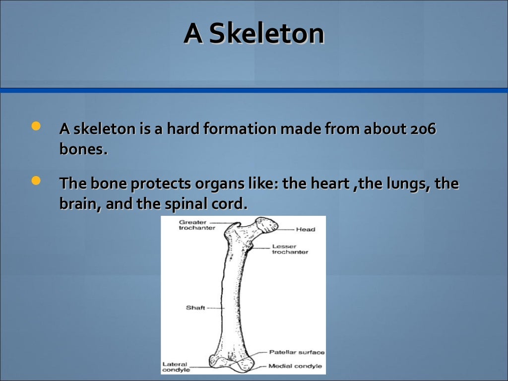 Essay on human body for class 8 image