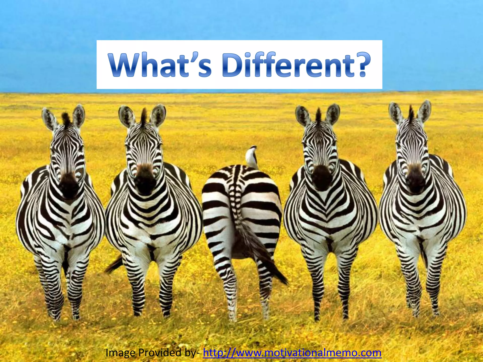 Image Provided by- http://www.motivationalmemo.com
 