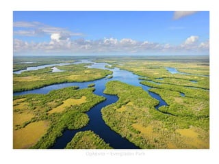 Ορλάντο – Everglades Park
 