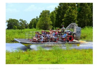 Ορλάντο – Everglades Park
 