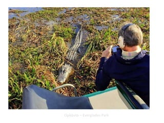 Ορλάντο – Everglades Park
 