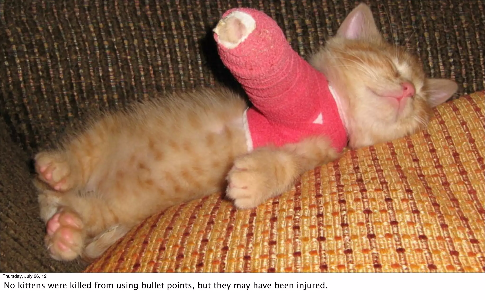 Thursday, July 26, 12

No kittens were killed from using bullet points, but they may have been injured.
 