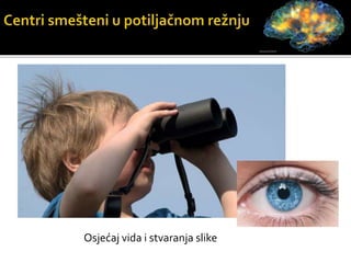 Osjećaj vida i stvaranja slike
 