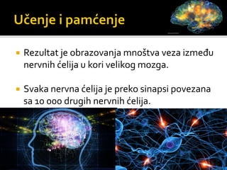  Rezultat je obrazovanja mnoštva veza između
nervnih ćelija u kori velikog mozga.
 Svaka nervna ćelija je preko sinapsi povezana
sa 10 000 drugih nervnih ćelija.
 