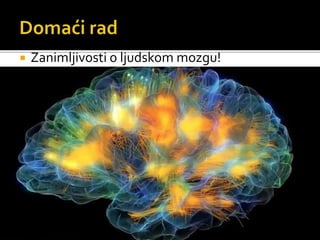  Zanimljivosti o ljudskom mozgu!
 