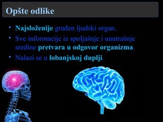 Opšte odlike
Najsloženije građen ljudski organ.
Sve informacije iz spoljašnje i unutrašnje
sredine pretvara u odgovor organizma.
Nalazi se u lobanjskoj duplji.
 