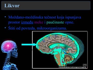 Likvor
Moždano-moždinska tečnost koja ispunjava
prostor između meke i paučinaste opne.
Štiti od povreda, mikroorganizama.
 