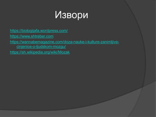 Извори
https://biologijafa.wordpress.com/
https://www.shtreber.com
https://wannabemagazine.com/doza-nauke-i-kulture-zanimljive-
cinjenice-o-ljudskom-mozgu/
https://sh.wikipedia.org/wiki/Mozak
 