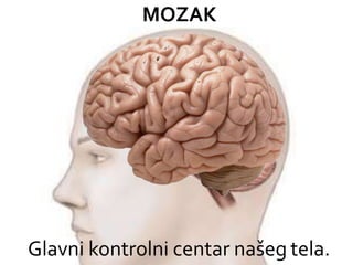 Glavni kontrolni centar našeg tela.
MOZAK
 