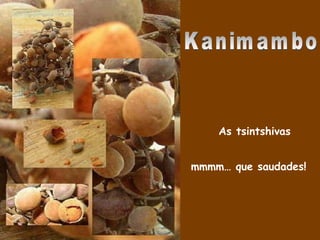 Kanimambo As tsintshivas  mmmm… que saudades! 