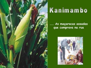 Kanimambo ……  As maçarocas assadas que comprava na rua 