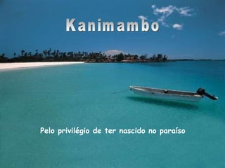 Kanimambo Pelo privilégio de ter nascido no paraíso 