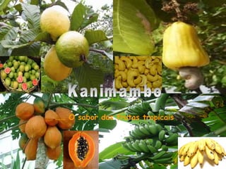 Kanimambo ……  O sabor das frutas tropicais 