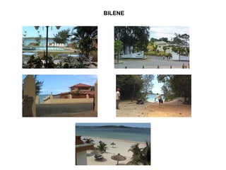 BILENE 