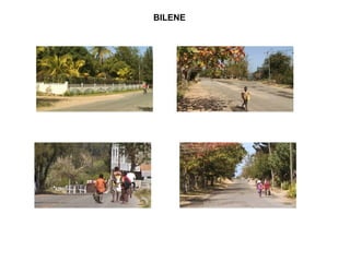 BILENE 