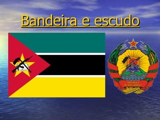 Bandeira e escudo 