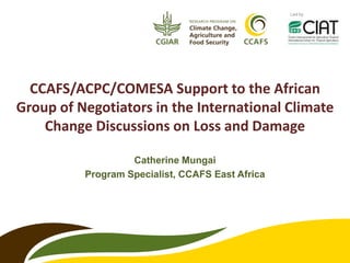 Catherine Mungai
Program Specialist, CCAFS East Africa
Led by
CCAFS/ACPC/COMESA Support to the African
Group of Negotiators in the International Climate
Change Discussions on Loss and Damage
 