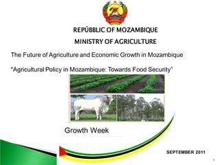 REPÚBBLIC OF MOZAMBIQUE
                      MINISTRY OF AGRICULTURE

The Future of Agriculture and Economic Growth in Mozambique

"Agricultural Policy in Mozambique: Towards Food Security”




                   Growth Week

                                                       SEPTEMBER 2011
                                                                        1
 