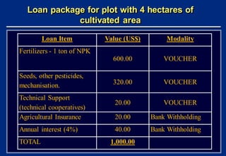 Loan package for plot with 4 hectares of
              cultivated area

        Loan Item            Value (US$)        Mo...